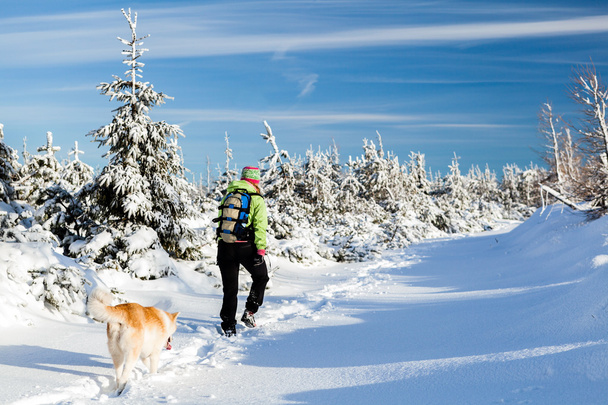 Зимний поход с собакой
 - Фото, изображение