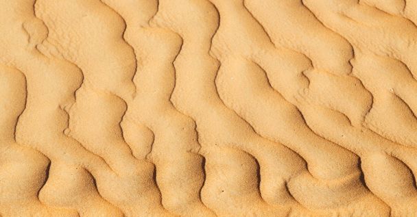 abstract texture line wave in oman the old desert and the empty quarter  - Fotografie, Obrázek