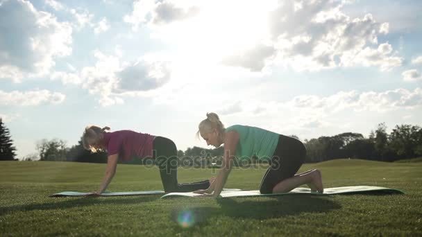 Elegant sporty ladies practicing yoga pose in park - Footage, Video