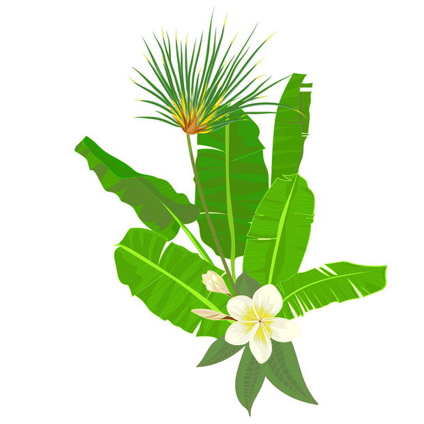 Ręcznie rysowane Tropikalne Palma pozostawia skład z dżungla egzotyczny kwiat na białym tle botanicznych ilustracji wektorowych - Wektor, obraz
