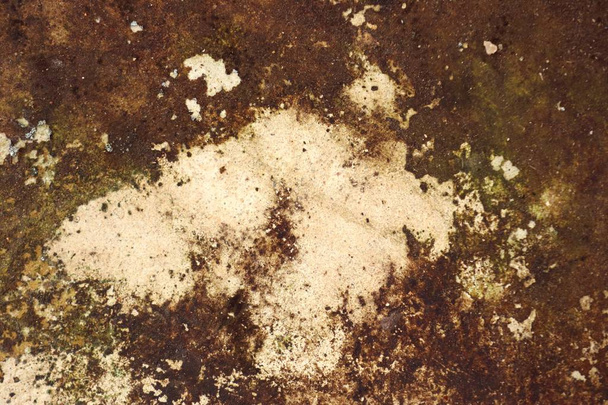 Cement floor with moss - Foto, afbeelding