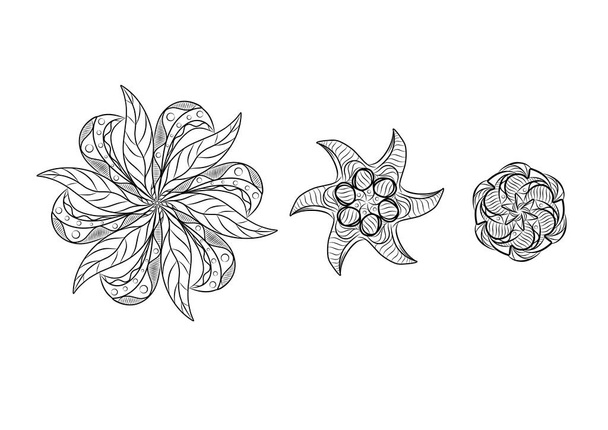     Starfish with a pattern  - Vektori, kuva