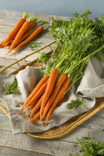Raw Organic Fresh Orange Carrots - Fotoğraf, Görsel