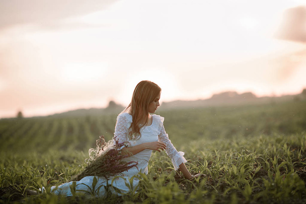 Young woman in long white lace dress on cornfield. - Photo, Image