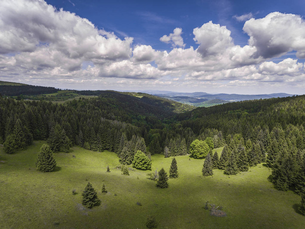 Vue aérienne de l'heure d'été dans les montagnes près de Czarna Gora mou
 - Photo, image