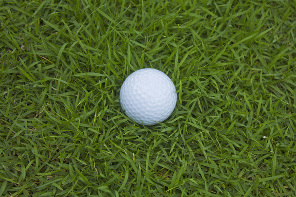 Close-up van golfbal op groen gras - Foto, afbeelding