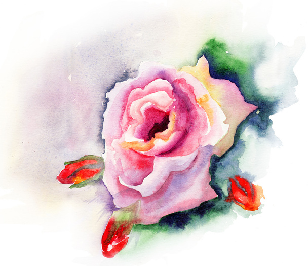 Rose flower - Fotografie, Obrázek