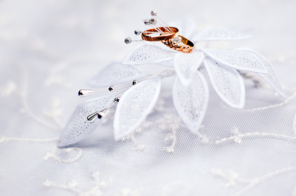 Wedding rings on flowers - 写真・画像