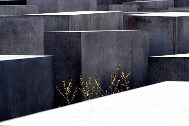 гілки на честь Голокосту в Берліні (Німеччина). - Фото, зображення