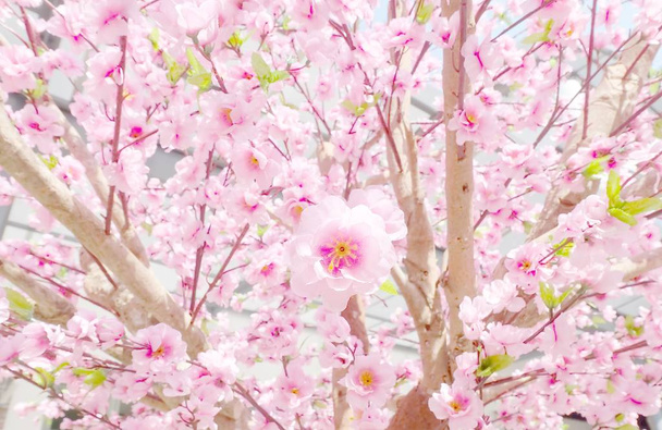 Keinotekoinen Sakura kukkia koristeluun japanilainen tyyli
 - Valokuva, kuva