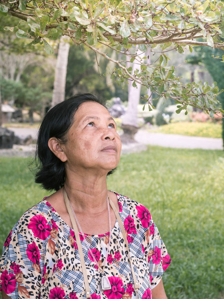 Close up senior thai woman portrait look up to twig - Photo, Image