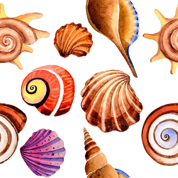 Watercolor summer beach seashell tropical elements pattern, underwater creatures. - Φωτογραφία, εικόνα