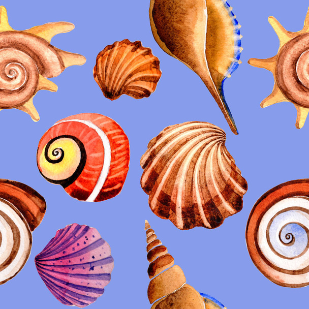 Watercolor summer beach seashell tropical elements pattern, underwater creatures. - Photo, Image