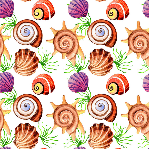 Watercolor summer beach seashell tropical elements pattern, underwater creatures. - Foto, Imagem