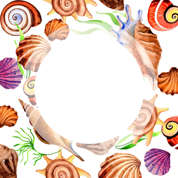 Watercolor summer beach seashell tropical elements frame, underwater creatures. - Photo, Image
