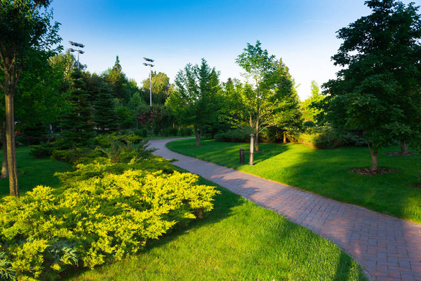 парк, окруженный зеленым пейзажем с пешеходной дорожкой и деревьями
 - Фото, изображение