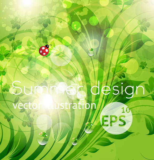 Abstract bright summer or summer vector floral background with flowers, ladybird and sun shine - Vector, Image