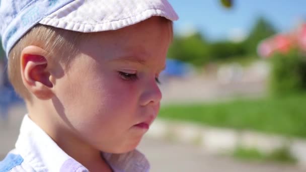 het kind eet een ijsje van wafel cup in park in close-up - Video