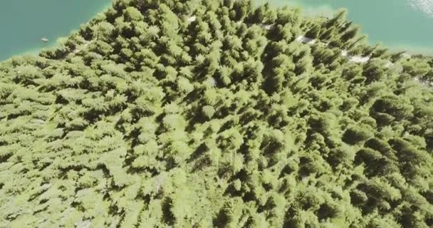 δάσος δάσος και τη λίμνη - Πλάνα, βίντεο