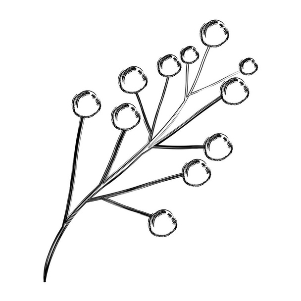 silhueta monocromática turva de ramo com botões florais
 - Vetor, Imagem