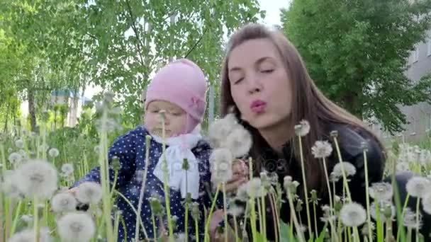 Retrato de una niña y mamá con ojos azules en un sombrero en un prado con dientes de león en un día de primavera. 4K
 - Metraje, vídeo