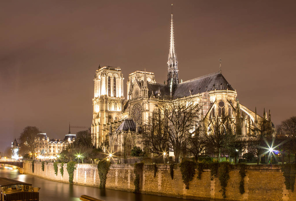 Katedrála Notre Dame, Paříž, Francie - Fotografie, Obrázek