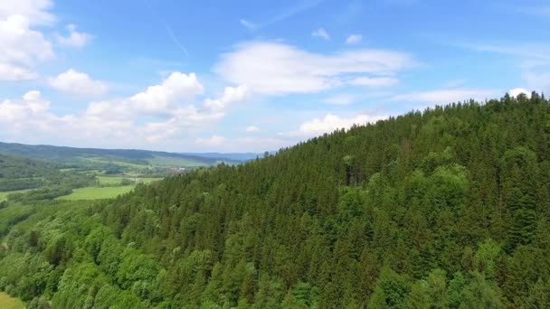 Вид с воздуха на лето в горах. Польша. Сосновый лес и облака над голубым небом. Вид сверху
. - Кадры, видео