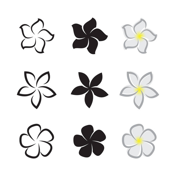 熱帯のベクターの花フランジパニ (プルメリア) 白の表現に - ベクター画像