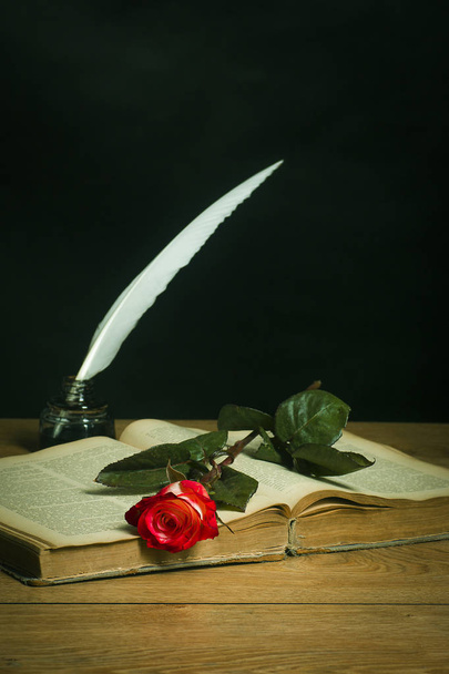 Red rose on open book and pen with inkwell - Foto, Imagen