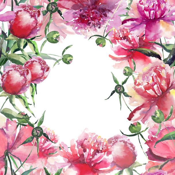 Beautiful delicate tender cute lovely floral colorful spring summer pink, red, orange peonies with green leaves and buds frame watercolor hand sketch - Foto, Imagem