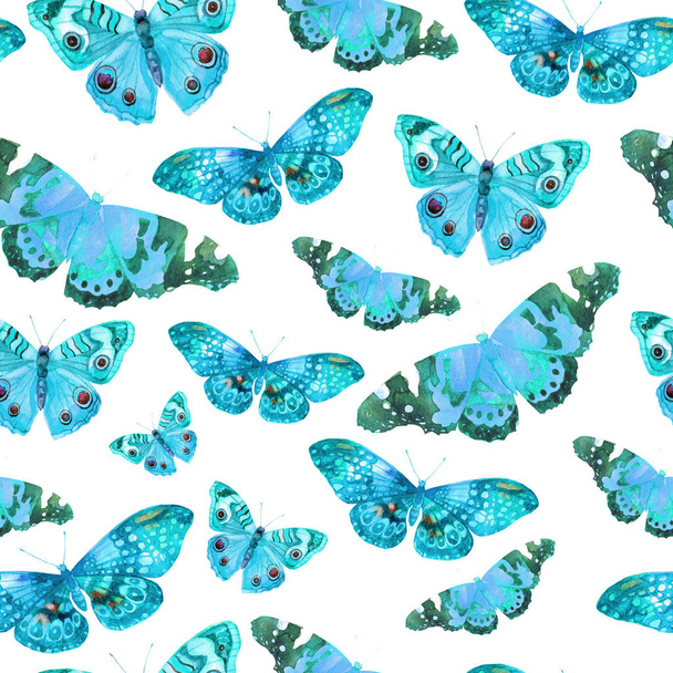 Motif aquarelle avec l'image de papillons transparents en couleurs bleues sur un fond blanc
 - Photo, image