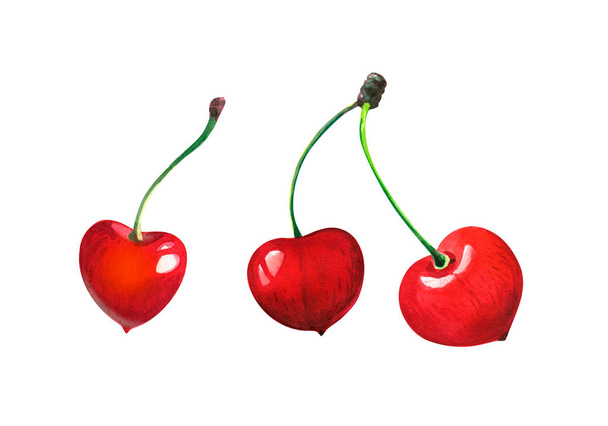 Three sweet heart shaped red cherries  isolated  watercolor illustration  - Photo, Image