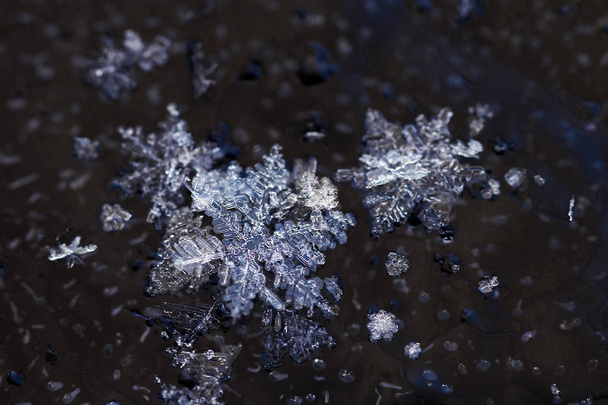 氷の上の雪のクローズ アップ - 写真・画像