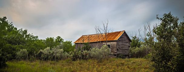 заброшенный бревенчатый домик глубокие леса в Техасе
 - Фото, изображение