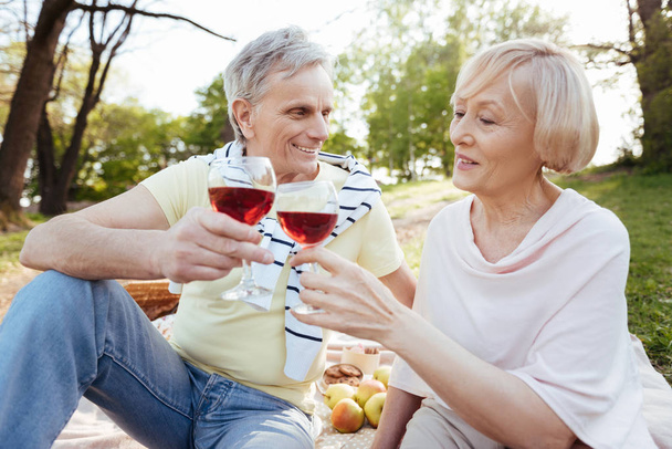 Loving old couple enjoying wine in the park - Photo, image