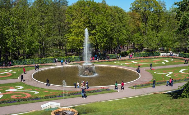 Petergof, Russia - June 5, 2017: Fountain in the lower park of the Peterhof's palace complex. - Фото, зображення