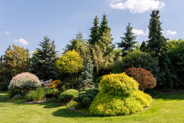 barevné jarní zahrada - Fotografie, Obrázek
