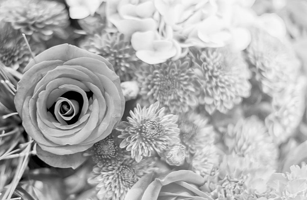 Krásné květinové pozadí / tapetu z barevné filtry  - Fotografie, Obrázek