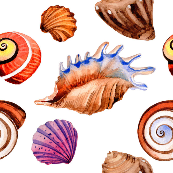 Akvarell nyári strand seashell trópusi elemek minta, víz alatti lények. - Fotó, kép