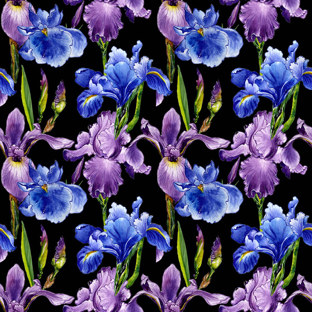 Wildflower iris flower pattern in a watercolor style isolated. - Fotoğraf, Görsel