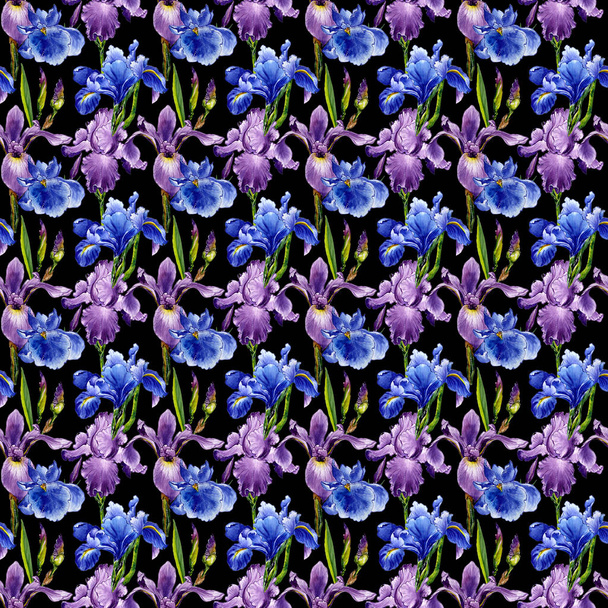 Wildflower iris flower pattern in a watercolor style isolated. - Foto, afbeelding