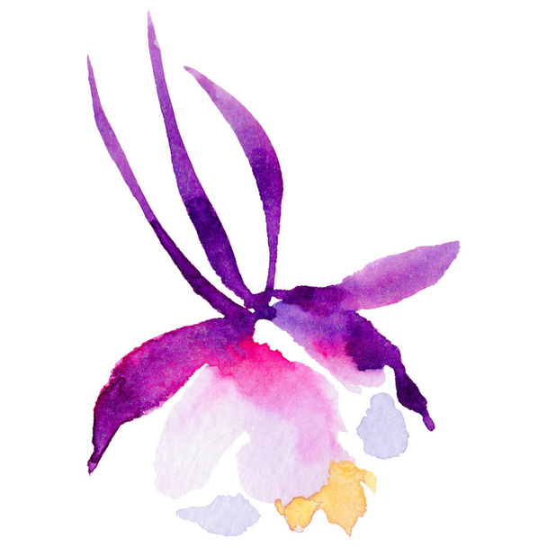 Wildblume exotische Blume in einem Aquarell-Stil isoliert. - Foto, Bild