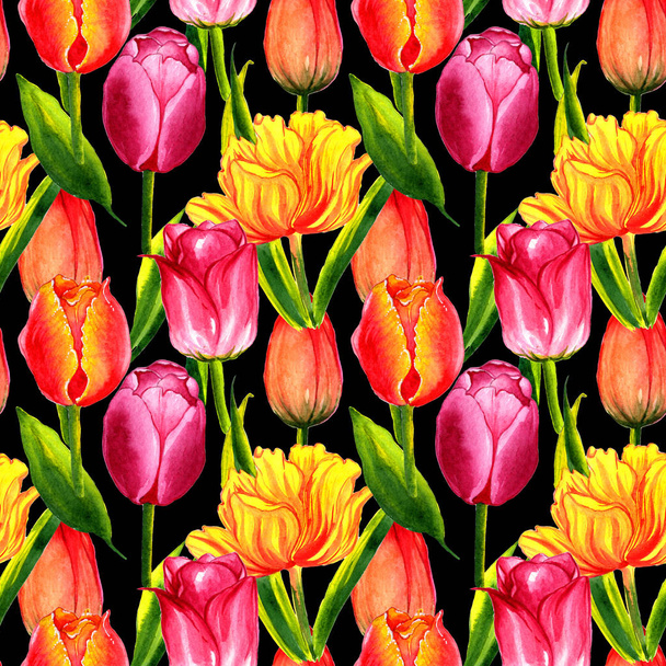 Modello di fiore di tulipano Wildflower in uno stile di acquerello isolato
. - Foto, immagini