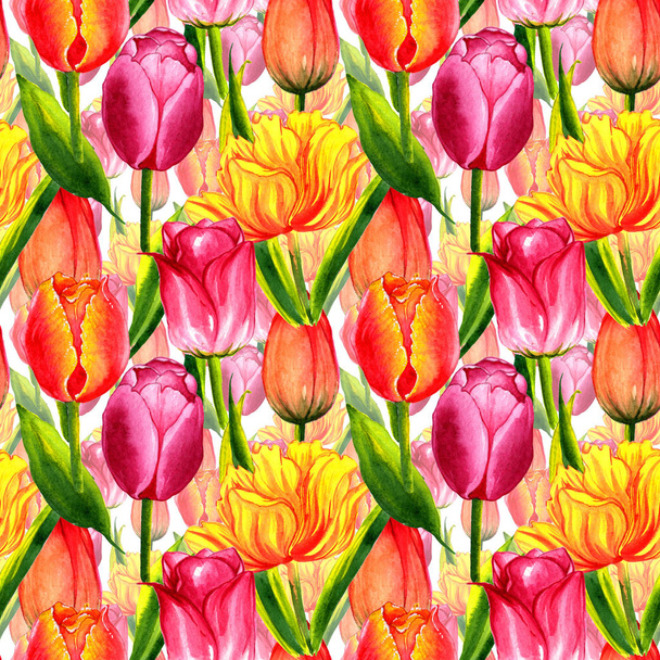 Wildflower tulip flower pattern in a watercolor style isolated. - Foto, imagen