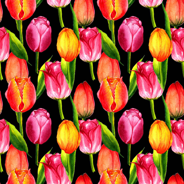 Wildflower tulip flower pattern in a watercolor style isolated. - Fotoğraf, Görsel
