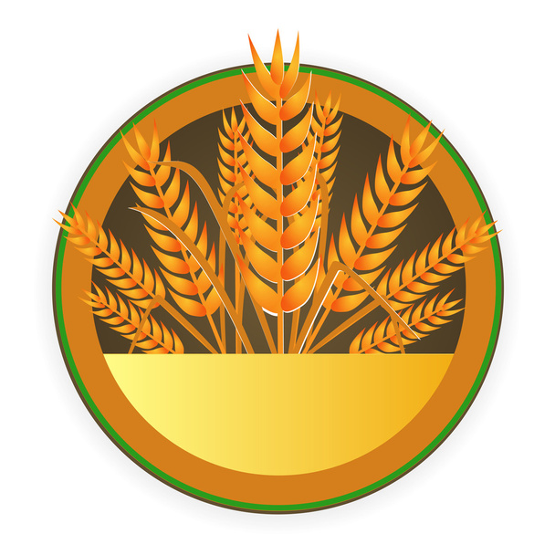 modern wheat sign - Vector, afbeelding