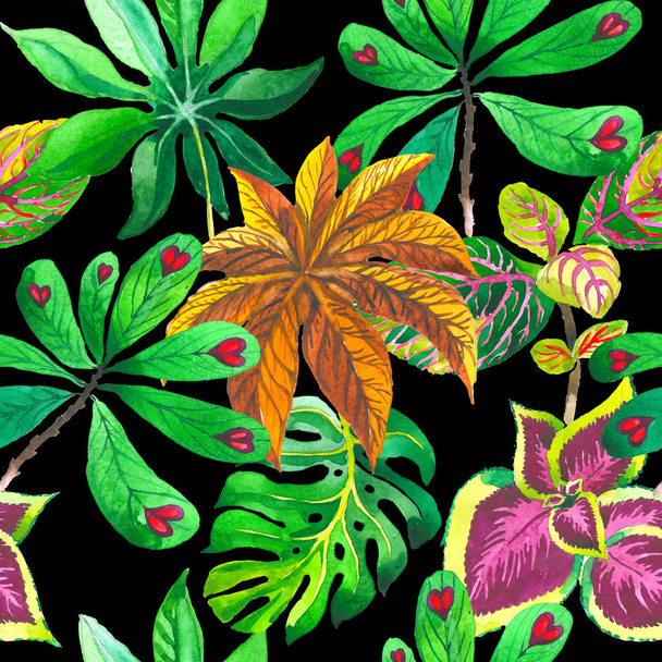 Tropical Hawaii leaves palm tree pattern in a watercolor style isolated. - Fotó, kép
