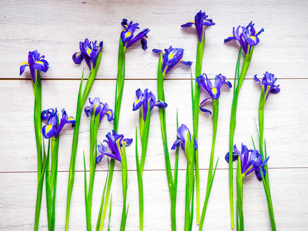 Belles fleurs d'iris sur fond bois, vacances, carte de voeux, espace pour le texte
 - Photo, image