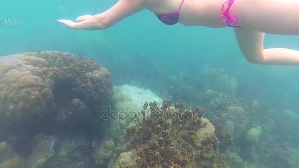 Girl kąpać się w morzu z ryb. Nurkowanie w maskach. Phangan, Tajlandia. - Materiał filmowy, wideo