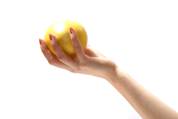 White grapefruit in hand - Фото, изображение